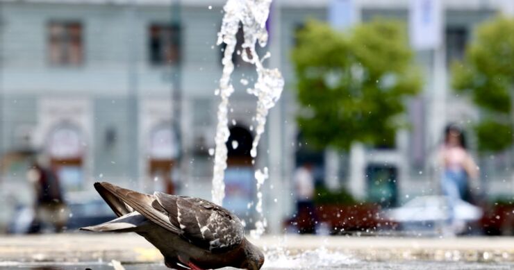 Crveni meteoalarm i danas na snazi: Temperature zraka će ići i do 42 Celzijusa