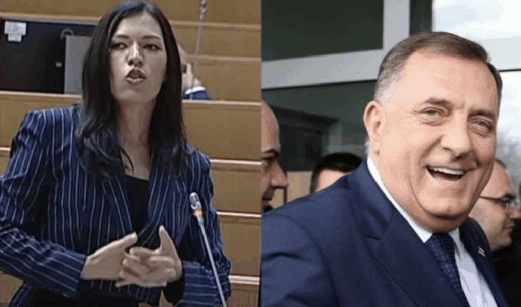 Vulićeva Dodik protest sjednica