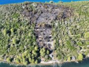 Požar na Čiovu uništio šumu: Uhapšen 64-godišnjak zbog opasnog nehata Požar Čiovo