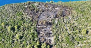 Požar na Čiovu uništio šumu: Uhapšen 64-godišnjak zbog opasnog nehata Požar Čiovo