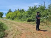 Srušio se avion: Više osoba poginulo, poznati prvi detalji nesreće
