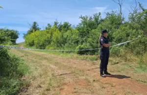 Srušio se avion: Više osoba poginulo, poznati prvi detalji nesreće