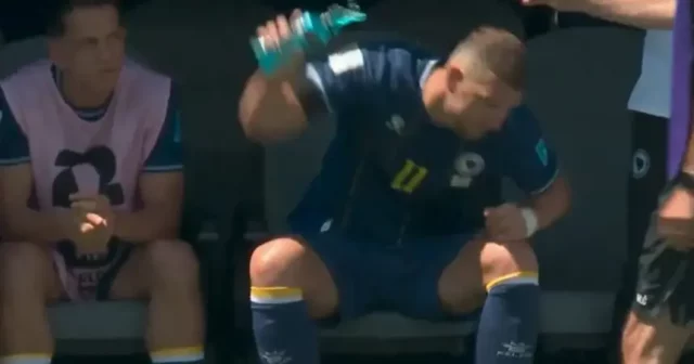 Evo šta je Edin Džeko uradio kada ga je Barbarez izveo iz igre