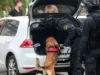 U Sarajevu zaplijenjena 73 kilograma marihuane: Uhapšen 34-godišnji muškarac U Sarajevu zaplijenjena 73 kilograma marihuane: Uhapšen 34-godišnji muškarac