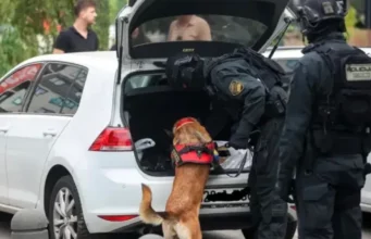 U Sarajevu zaplijenjena 73 kilograma marihuane: Uhapšen 34-godišnji muškarac U Sarajevu zaplijenjena 73 kilograma marihuane: Uhapšen 34-godišnji muškarac
