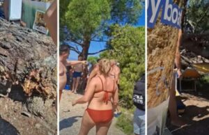 DRAMA NA PLAŽI: Bor se srušio na kupače, ima povrijeđenih (VIDEO) DRAMA NA PLAŽI: Bor se srušio na kupače, ima povrijeđenih (VIDEO)