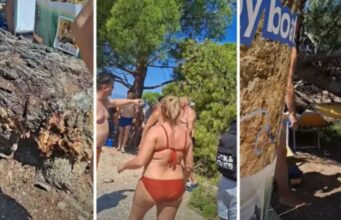 DRAMA NA PLAŽI: Bor se srušio na kupače, ima povrijeđenih (VIDEO) DRAMA NA PLAŽI: Bor se srušio na kupače, ima povrijeđenih (VIDEO)