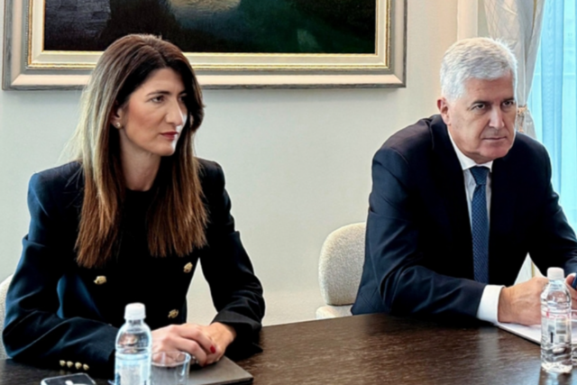 POGLEDAJTE ČEGA SE ČOVIĆEV HDZ DOSJETIO: Darijana Filipović dobila armiju lažnih pratilaca iz...